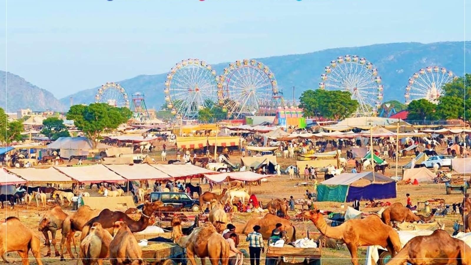 Pushkar camel fair 2023